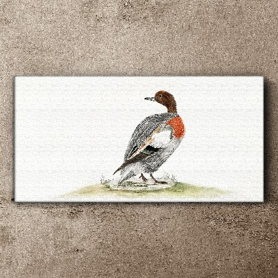 Drawing animal bird duck Canvas Wall art