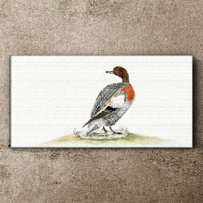 Duck on a natural background Canvas Wall art