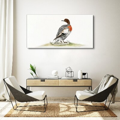 Drawing animal bird duck Canvas Wall art