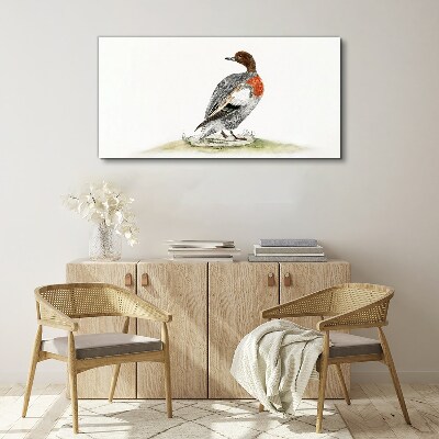 Duck on a natural background Canvas Wall art