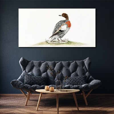 Drawing animal bird duck Canvas Wall art