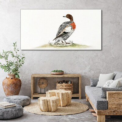 Drawing animal bird duck Canvas Wall art