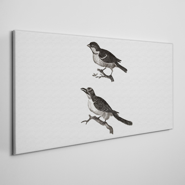 Birds on a branch Canvas Wall art