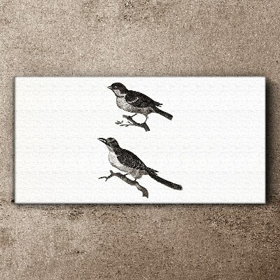 Figure animal bird branch Canvas Wall art