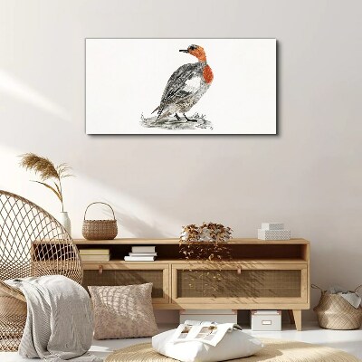 Red-breasted duck on white background Canvas Wall art