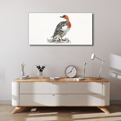 Red-breasted duck on white background Canvas Wall art