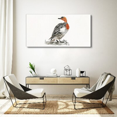 Red-breasted duck on white background Canvas Wall art