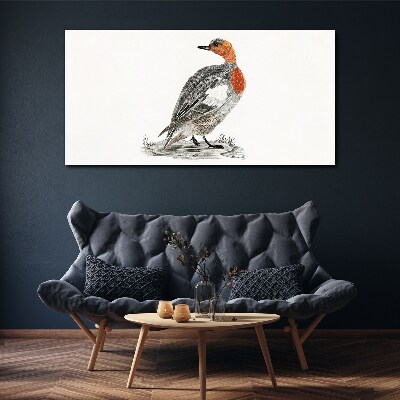 Red-breasted duck on white background Canvas Wall art
