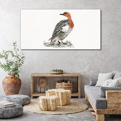 Red-breasted duck on white background Canvas Wall art