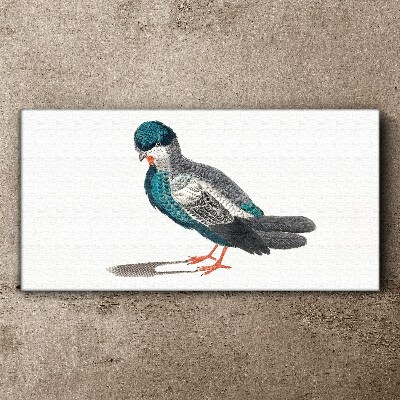 Drawing animal bird Canvas Wall art