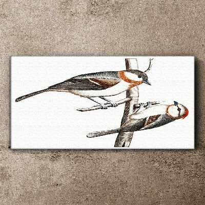 Nightingales on a branch Canvas Wall art