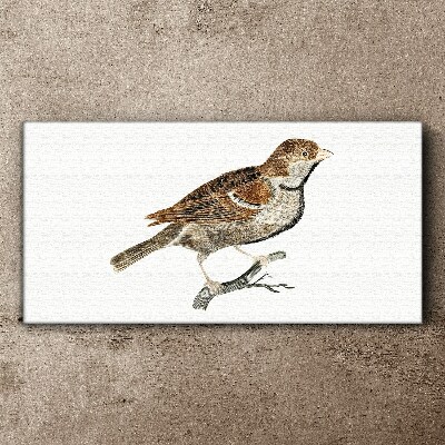 A winged friend in a natural style Canvas Wall art
