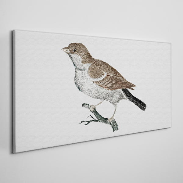 Nightingale on a branch Canvas Wall art