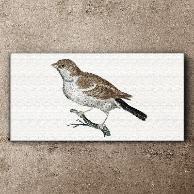 Nightingale on a branch Canvas Wall art