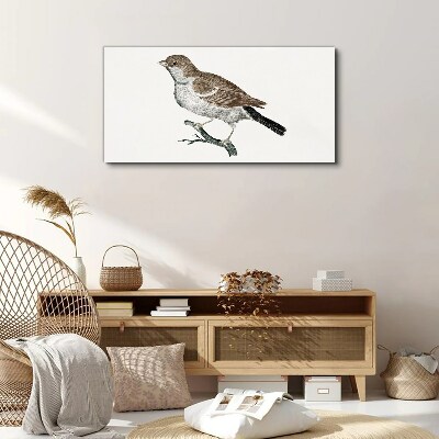 Nightingale on a branch Canvas Wall art
