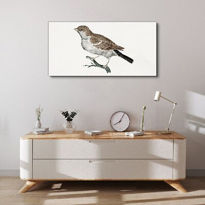 Nightingale on a branch Canvas Wall art