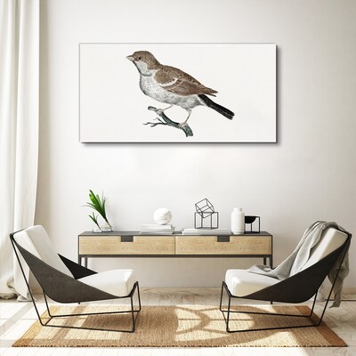 Nightingale on a branch Canvas Wall art