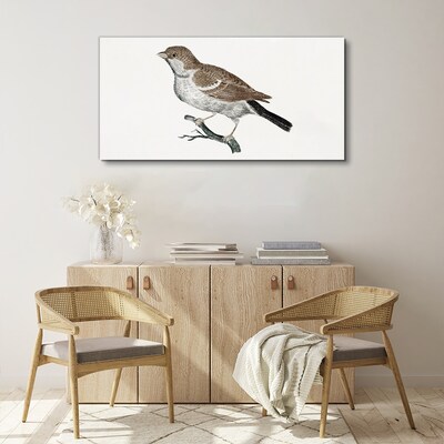 Nightingale on a branch Canvas Wall art