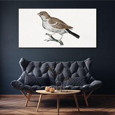 Nightingale on a branch Canvas Wall art
