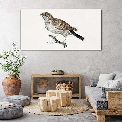 Nightingale on a branch Canvas Wall art