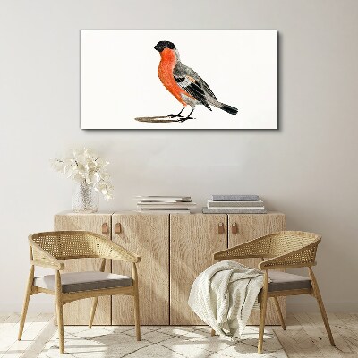 Robin against a white background Canvas Wall art