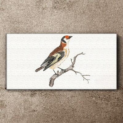 Bird on a branch Canvas Wall art