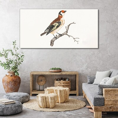 Bird on a branch Canvas Wall art