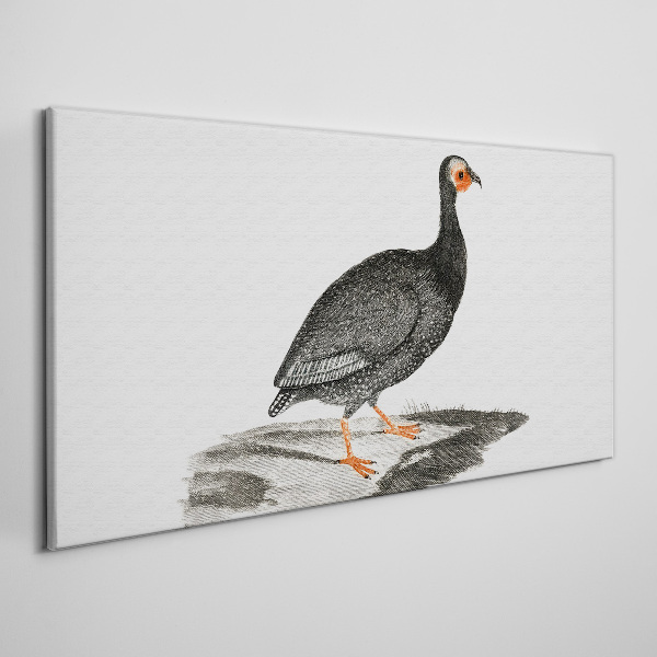 Black bird on white background Canvas Wall art
