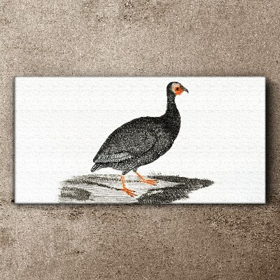 Black bird on white background Canvas Wall art