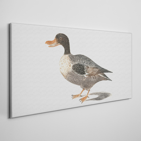 Duck in naturalistic style Canvas Wall art