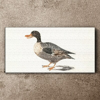 Duck in naturalistic style Canvas Wall art