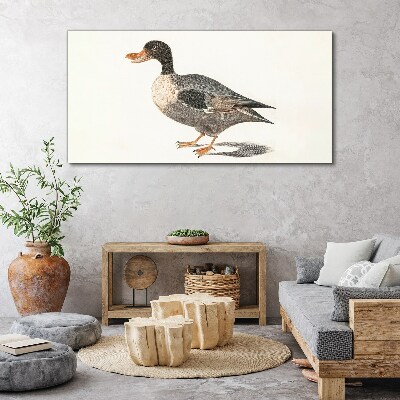 Duck in naturalistic style Canvas Wall art