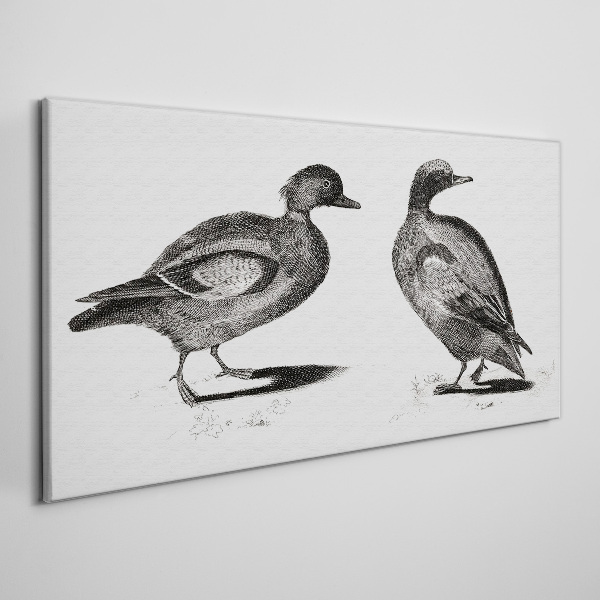 Drawing animals birds Canvas Wall art