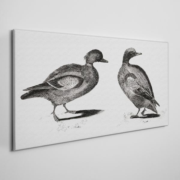 Two ducks in a monochromatic style Canvas Wall art