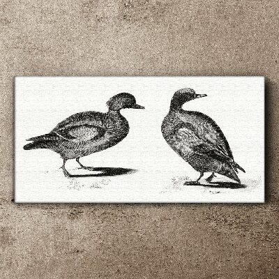 Two ducks in a monochromatic style Canvas Wall art