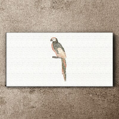 Bird on a branch Canvas Wall art