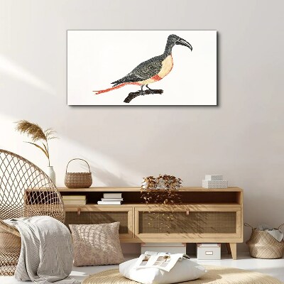 Toucan on a branch Canvas Wall art