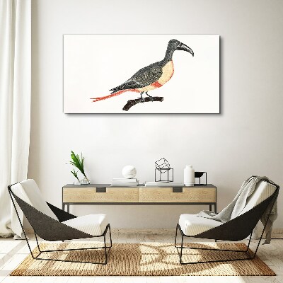 Toucan on a branch Canvas Wall art