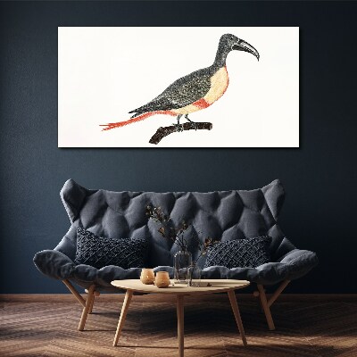 Toucan on a branch Canvas Wall art