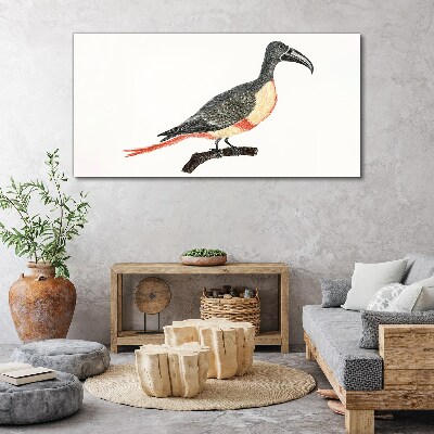 Toucan on a branch Canvas Wall art