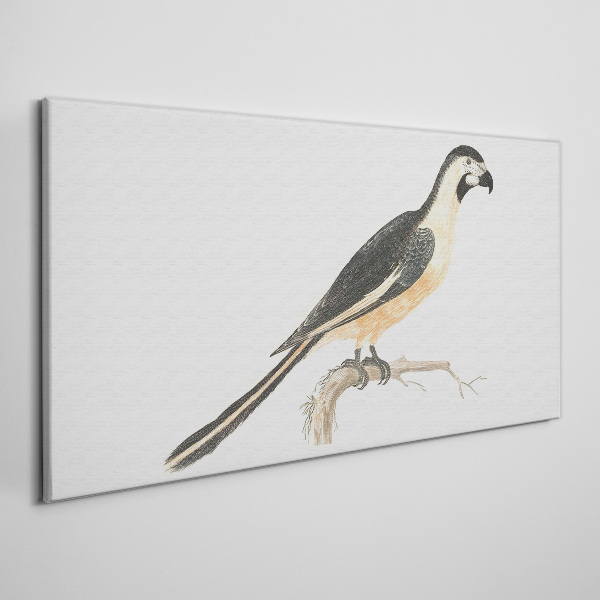 Bird on a branch Canvas Wall art