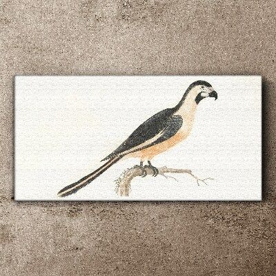 Bird on a branch Canvas Wall art