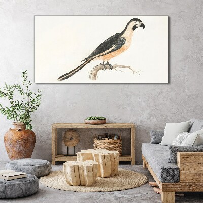 Bird on a branch Canvas Wall art