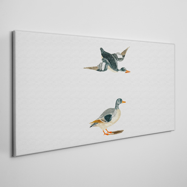 Waterbirds in flight and on the ground Canvas Wall art
