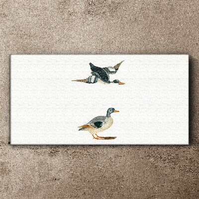 Waterbirds in flight and on the ground Canvas Wall art