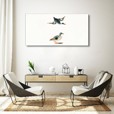 Waterbirds in flight and on the ground Canvas Wall art