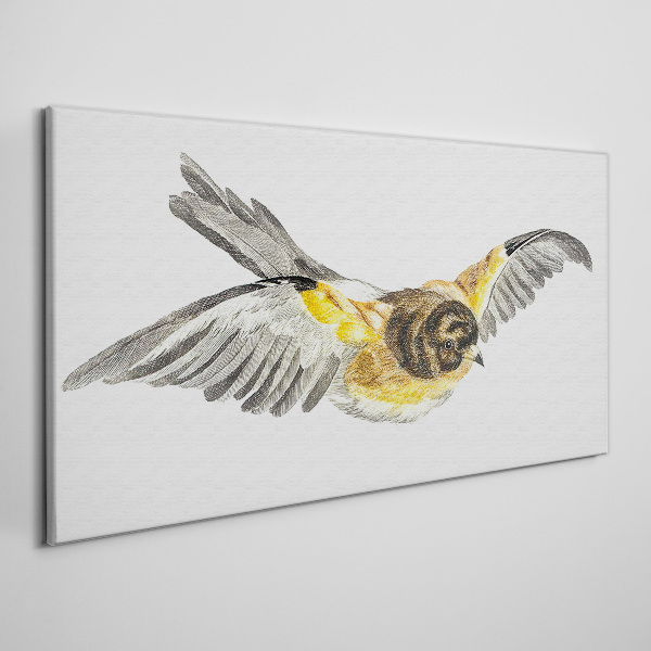 The majestic flight of a bird Canvas Wall art