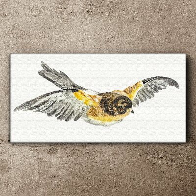 The majestic flight of a bird Canvas Wall art