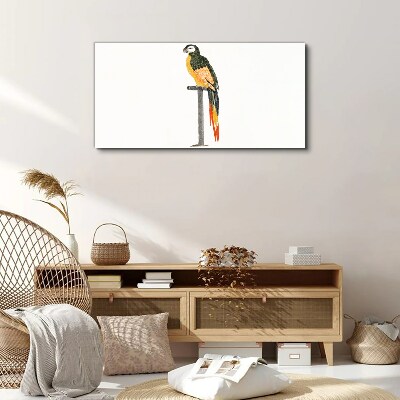 A parrot against a white wall Canvas Wall art