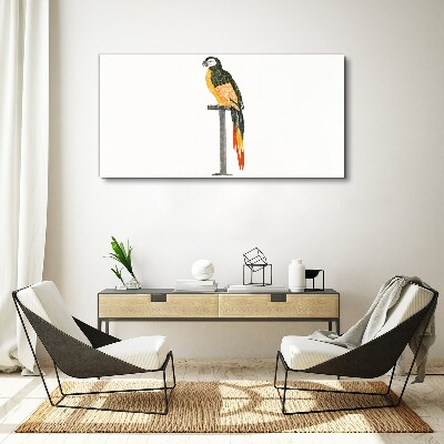 A parrot against a white wall Canvas Wall art